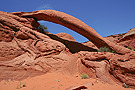 Cobra Arch